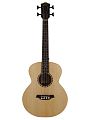 Bromo BAT8E Bass