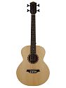 BAT8E Bass