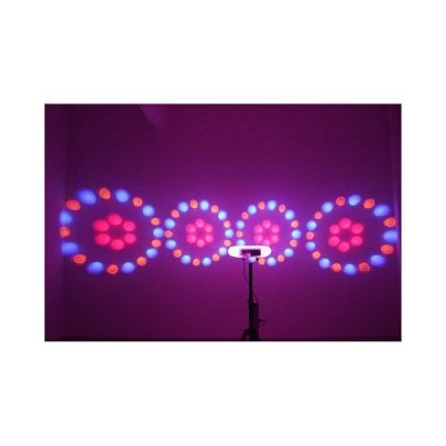 Led Star Quad Moonflower