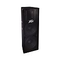 Peavey PV 215
