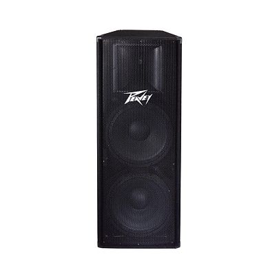 Peavey PV 215