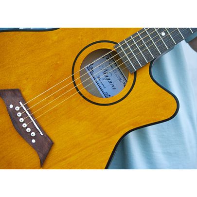 ACS C-39 NA