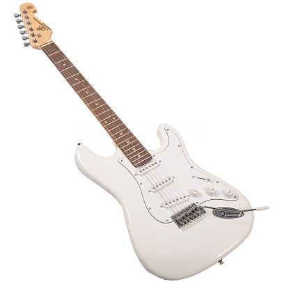 SX ED1-WT