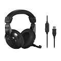 Behringer HPM1100U