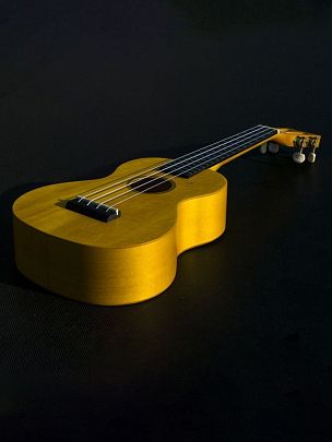 Mahalo ML2SF