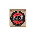 D'Addario EJ45